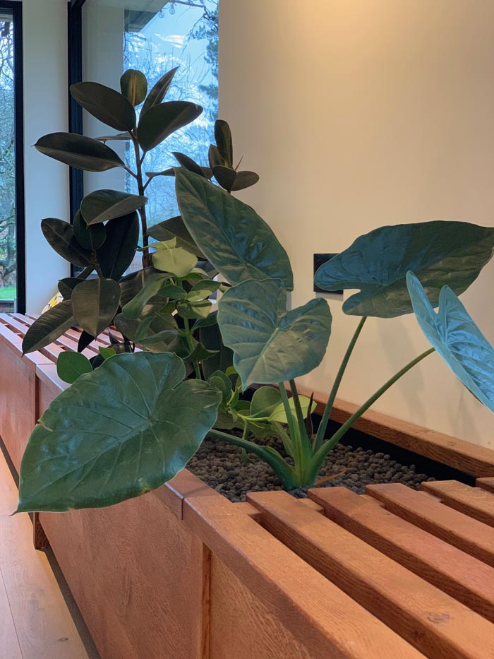 banquette en chêne massif vegetalisé